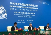 COP15:共建地球生命共同體,全球生物多樣性框架將聚焦4大長(zhǎng)期目標(biāo)